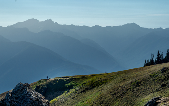 Hurricane Ridge, Olympic National Park