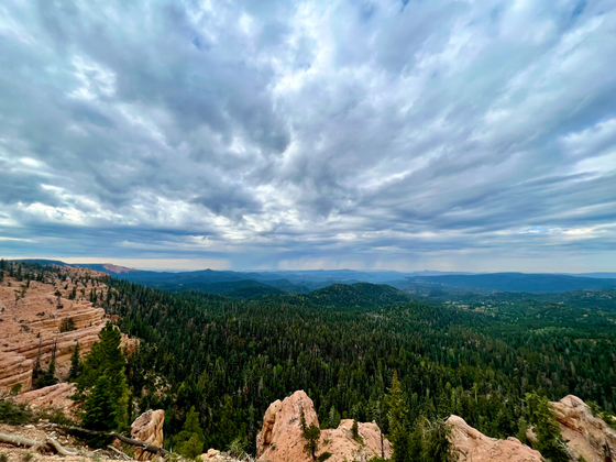 Dixie National Forest