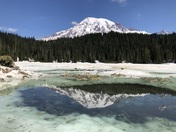 Mt Rainier 