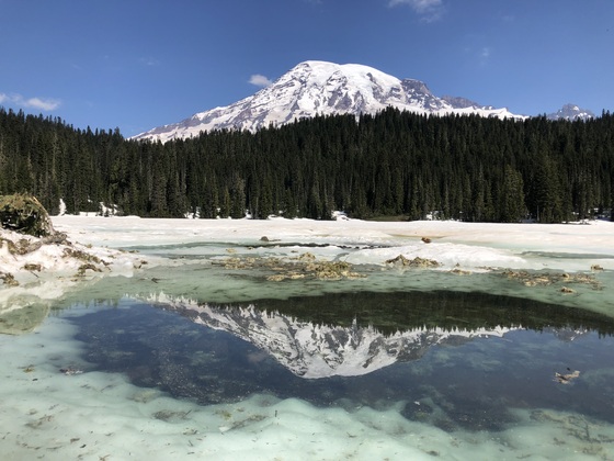 Mt Rainier 