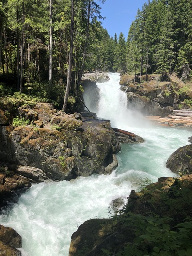 Mt Rainier National Park