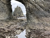 Olympic  National Park