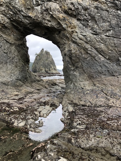 Olympic  National Park