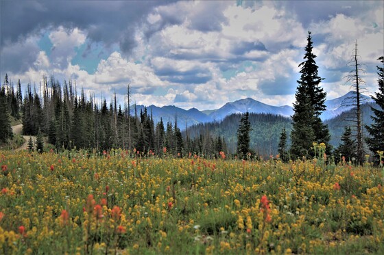 San Juan National Park
