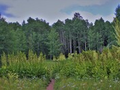 San Juan National Forest