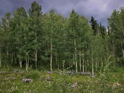 san juan mountains