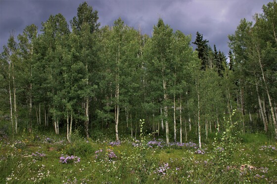 san juan mountains
