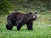 Grand Teton National Park