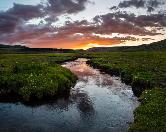 Yellowstone National Park