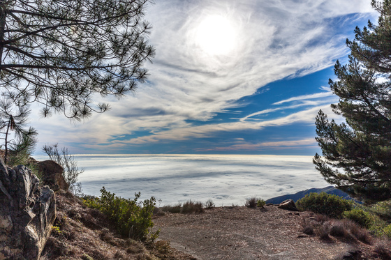 Los Padres National Forest