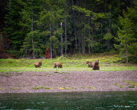 Grand Teton National Park