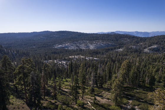 Sequoia National Forest