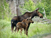Rocky Mountain National Park