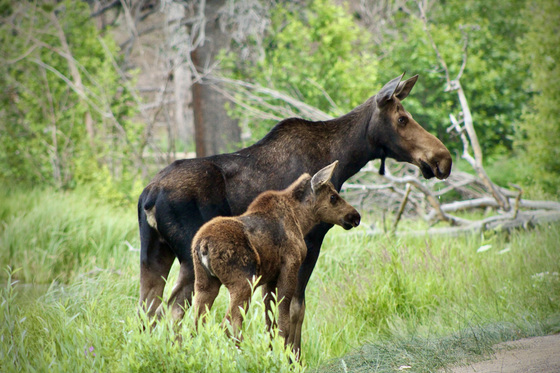Rocky Mountain National Park