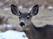 Rocky Mountain National Park