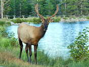 Rocky Mountain National Park 