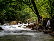 Great Smoky Mountains National Park