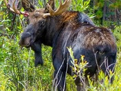 Rocky Mountain National Park 