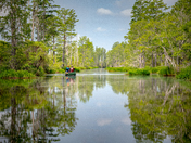 Okefenokee National Wildlife Refuge