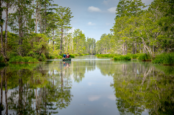 Okefenokee National Wildlife Refuge