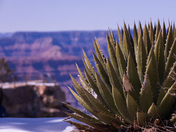 Grand Canyon National Park