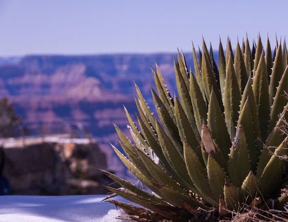 Grand Canyon National Park