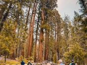 Yosemite National Park