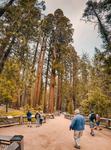 Yosemite National Park