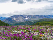 Denali National Park and Preserve