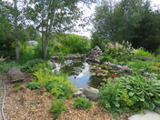 My pond in the yard