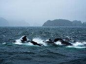 Kenai Fjords National Park