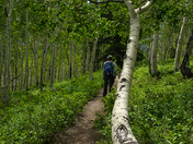 Wasatch National Forest