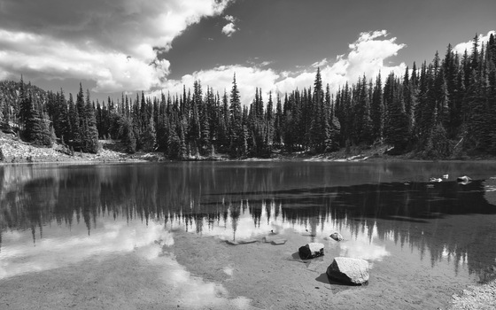 Mount Rainier National Park