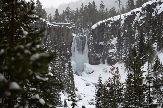 Deschutes National Forest