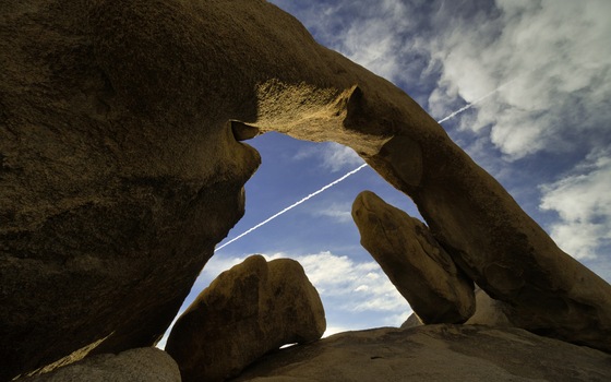 Joshua Tree National Park