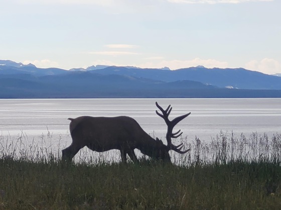 Yellowstone National Park
