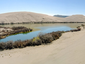Bruneau Dunes National Park 