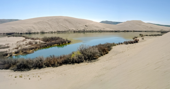 Bruneau Dunes National Park 