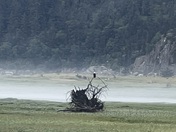 Klondike Goldrush National Park