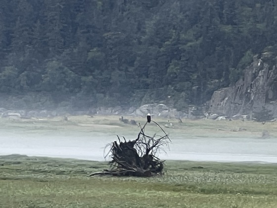 Klondike Goldrush National Park