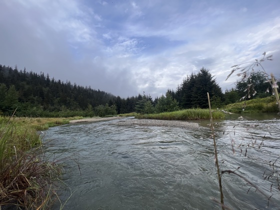 Klondike Goldrush National Park