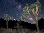 Joshua Tree National Park