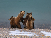 Grand Teton National Park