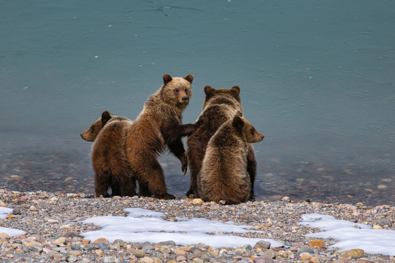 Grand Teton National Park