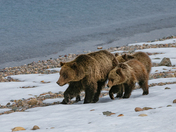 Grand Teton National Park