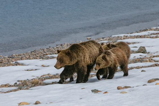 Grand Teton National Park