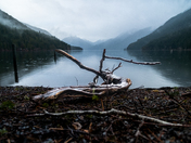 Olympic National Park