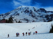 Mt Ranier National Park