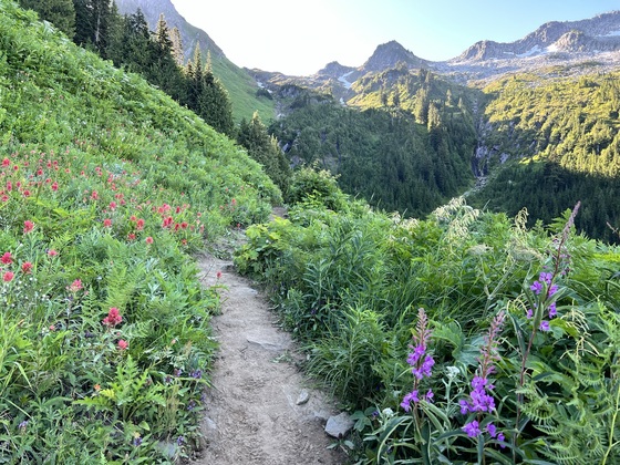 North Cascades National Park
