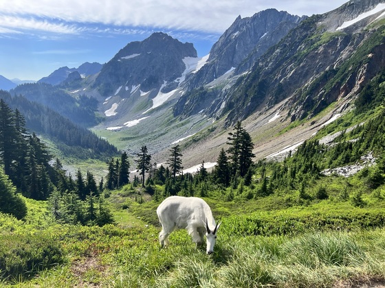 North Cascades National Park